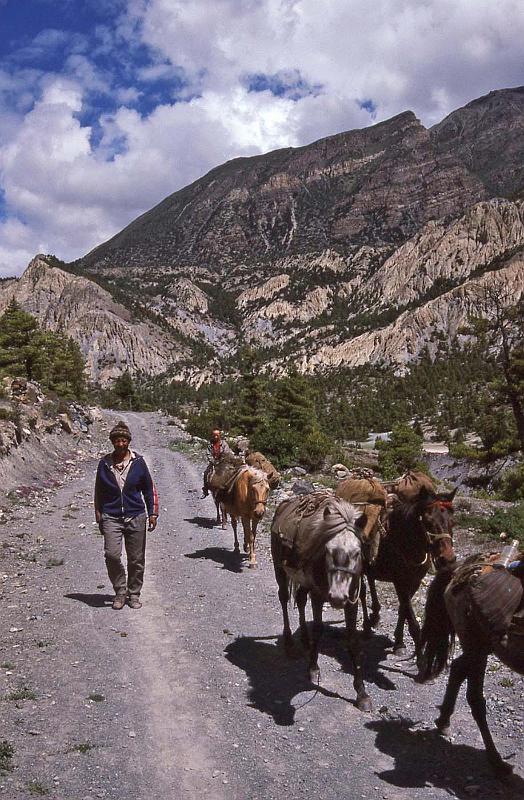 WT 1000 161-25 Nepal.jpg